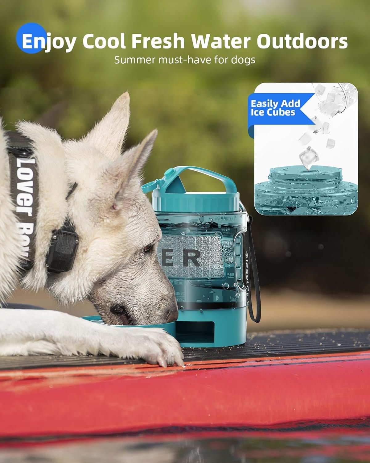 77oz Dog Travel Water Bottle with Bowl — Leak Proof