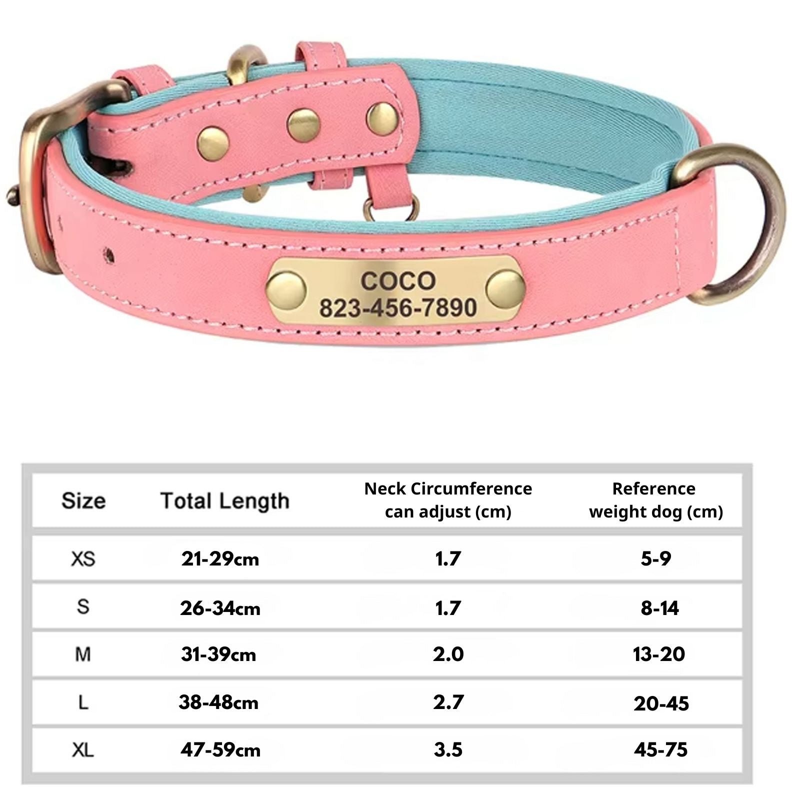 Personalized Engraved Leather Dog Collar — Free ID Tag