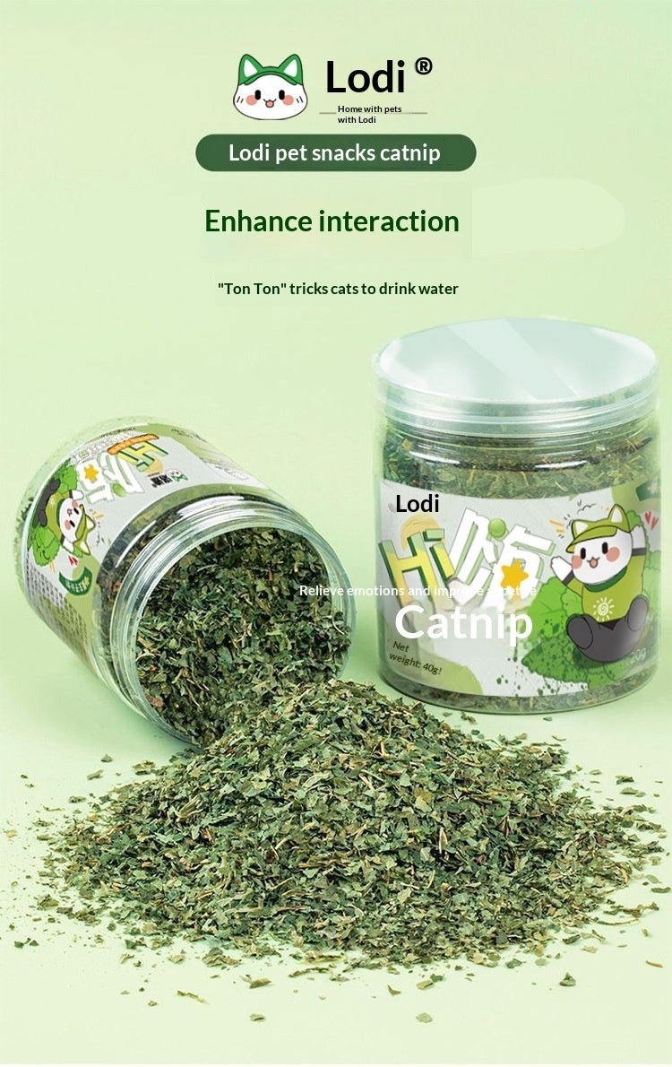 Catnip Cat Grass