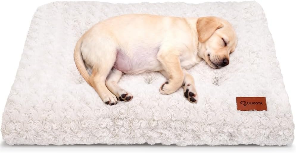 Plush Dog Crate Bed Pad — Washable, Anti-Slip, 24x18