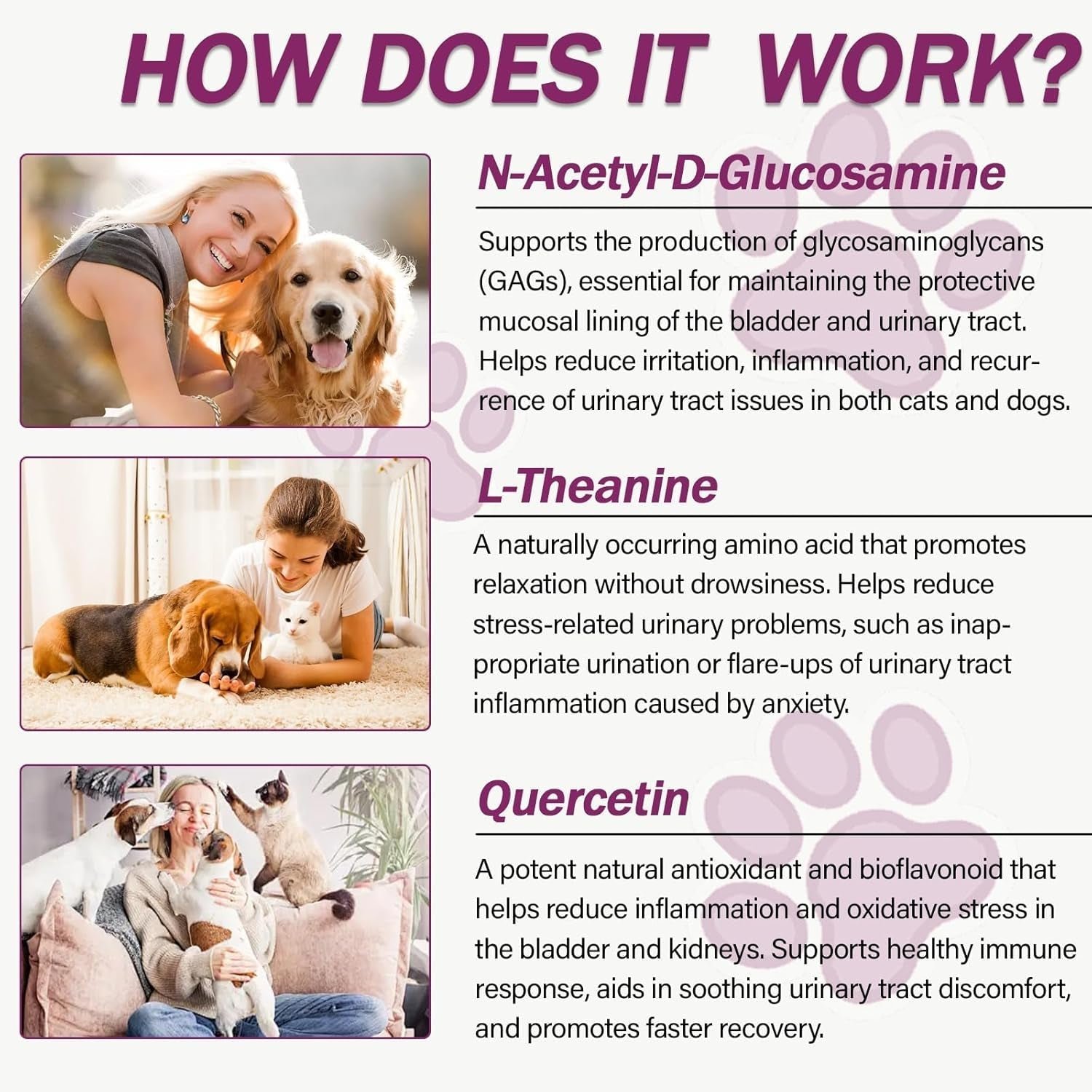 Urinary Tract Support Capsules for Dogs & Cats
