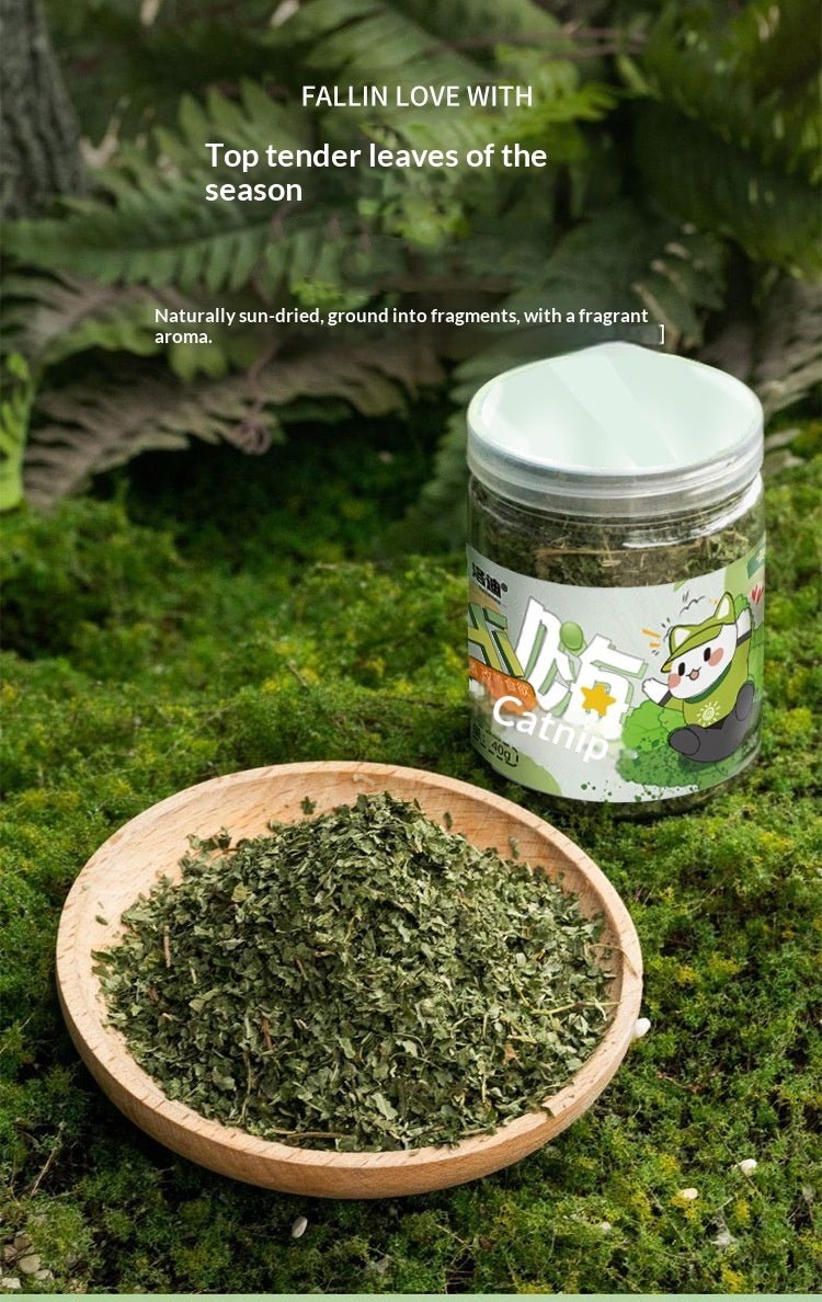 Catnip Cat Grass