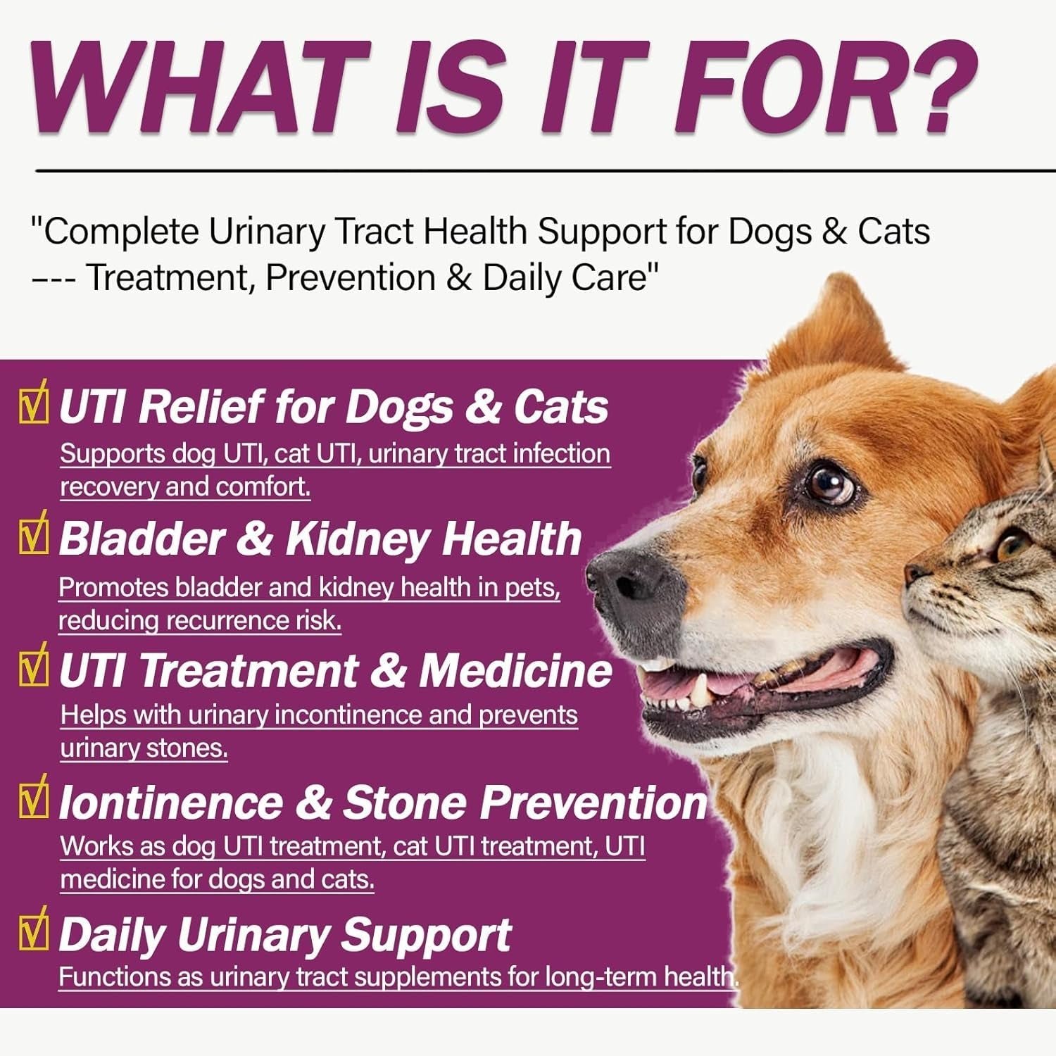 Urinary Tract Support Capsules for Dogs & Cats