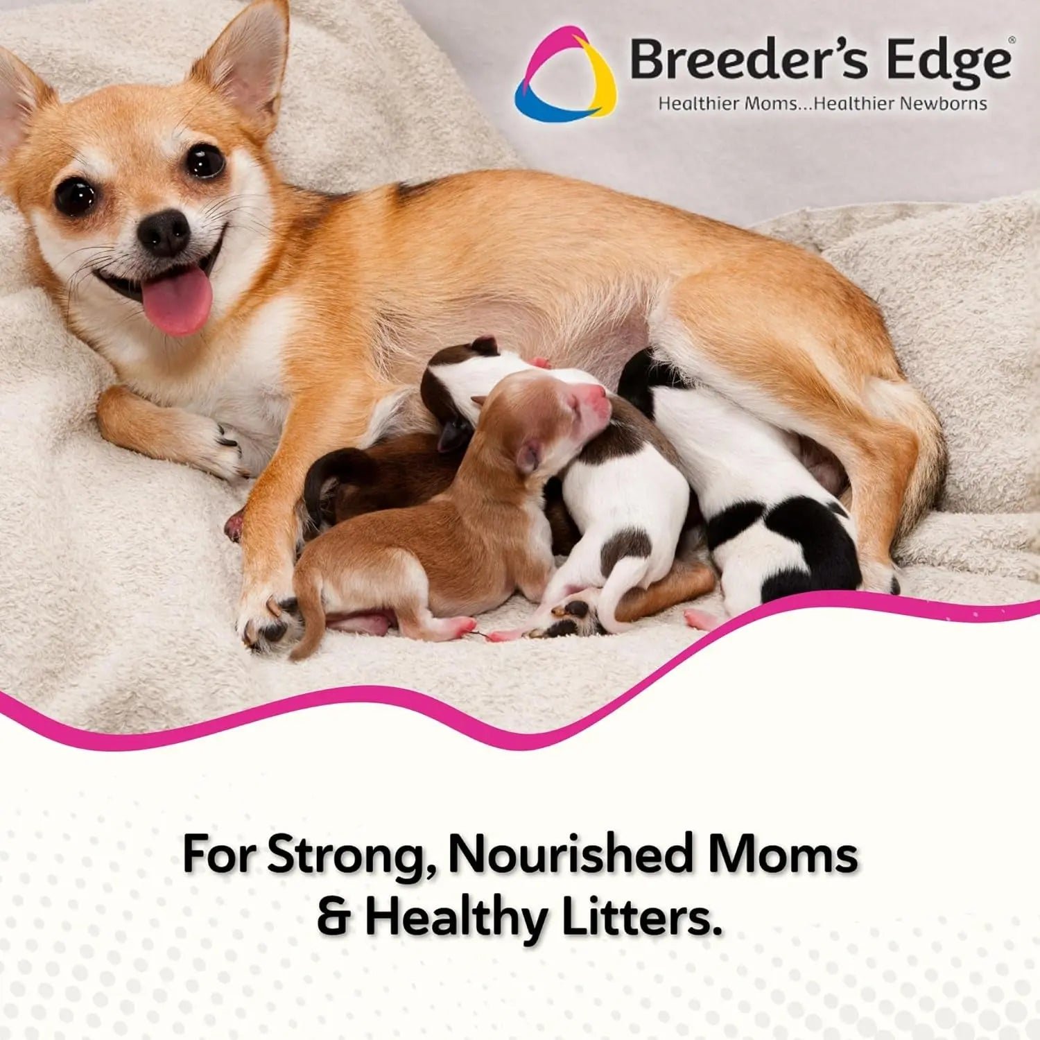 Postnatal Support Chews for Nursing Dogs & Cats — 40 Count