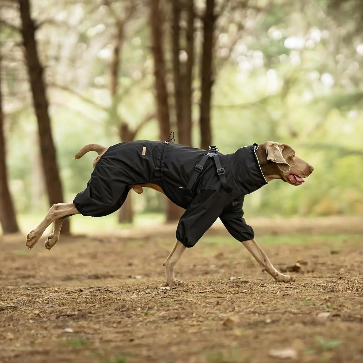 Waterproof Dog Raincoat with Harness Reflective