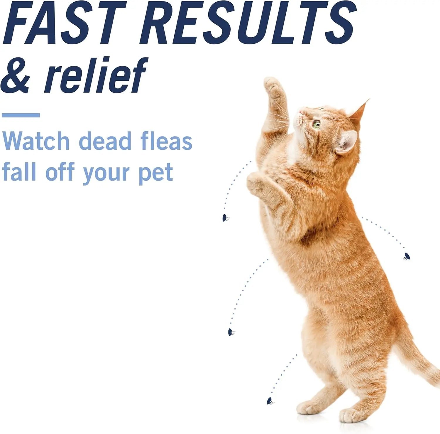 CAPACTION Oral Flea Tablets for Cats 2–25 lbs — 6 Doses