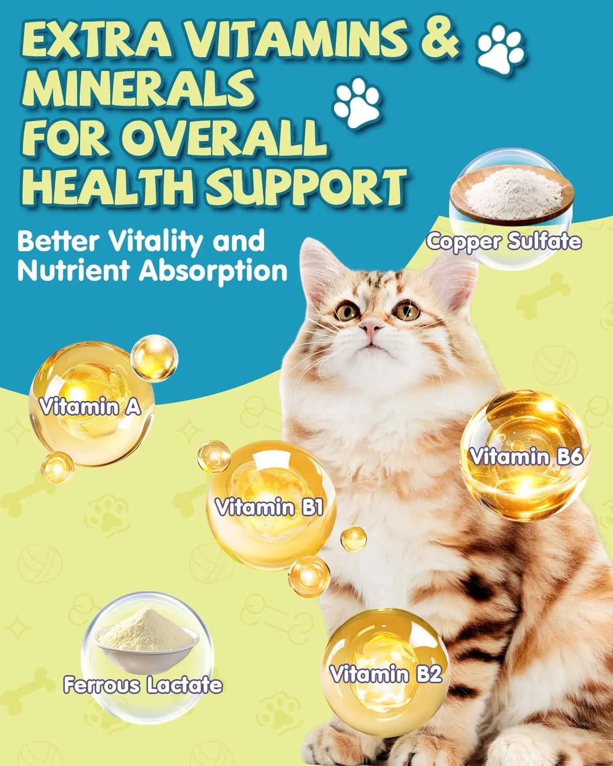 L-Lysine Drops for Cats — Immune & Respiratory Support, 2oz