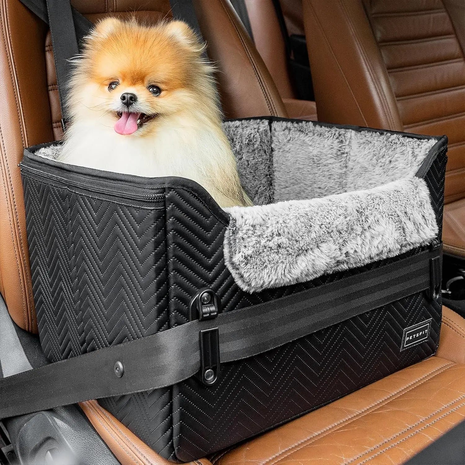 PETSFIT Small Dog Booster Car Seat — Foldable, Safety Tether