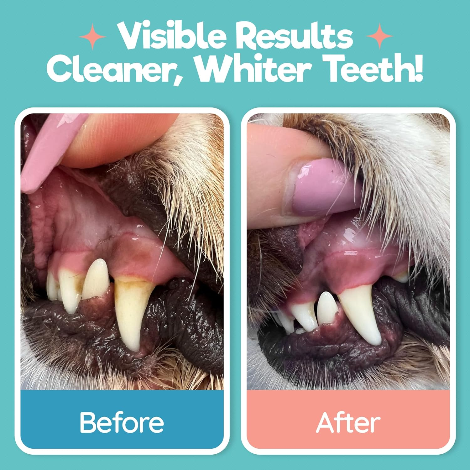 Pet Dental Wipes — Teeth Cleaning & Fresh Breath, 55 Ct