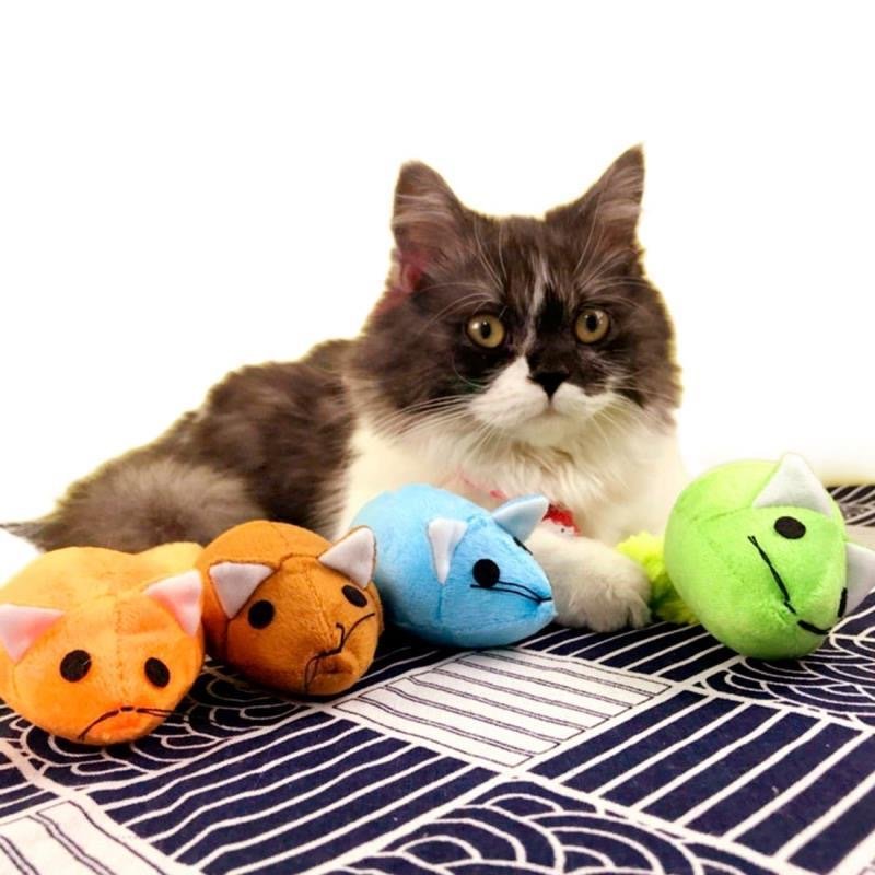 Long Tail Mouse Toy for Cats