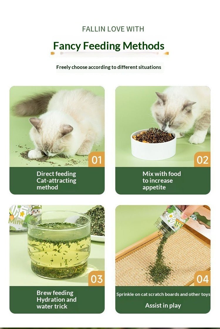 Catnip Cat Grass