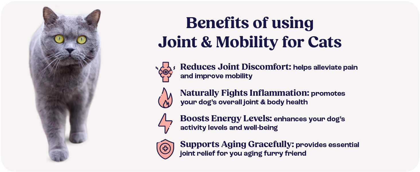 Cat Joint Supplement Chondroitin Mobility Support Natural Formula