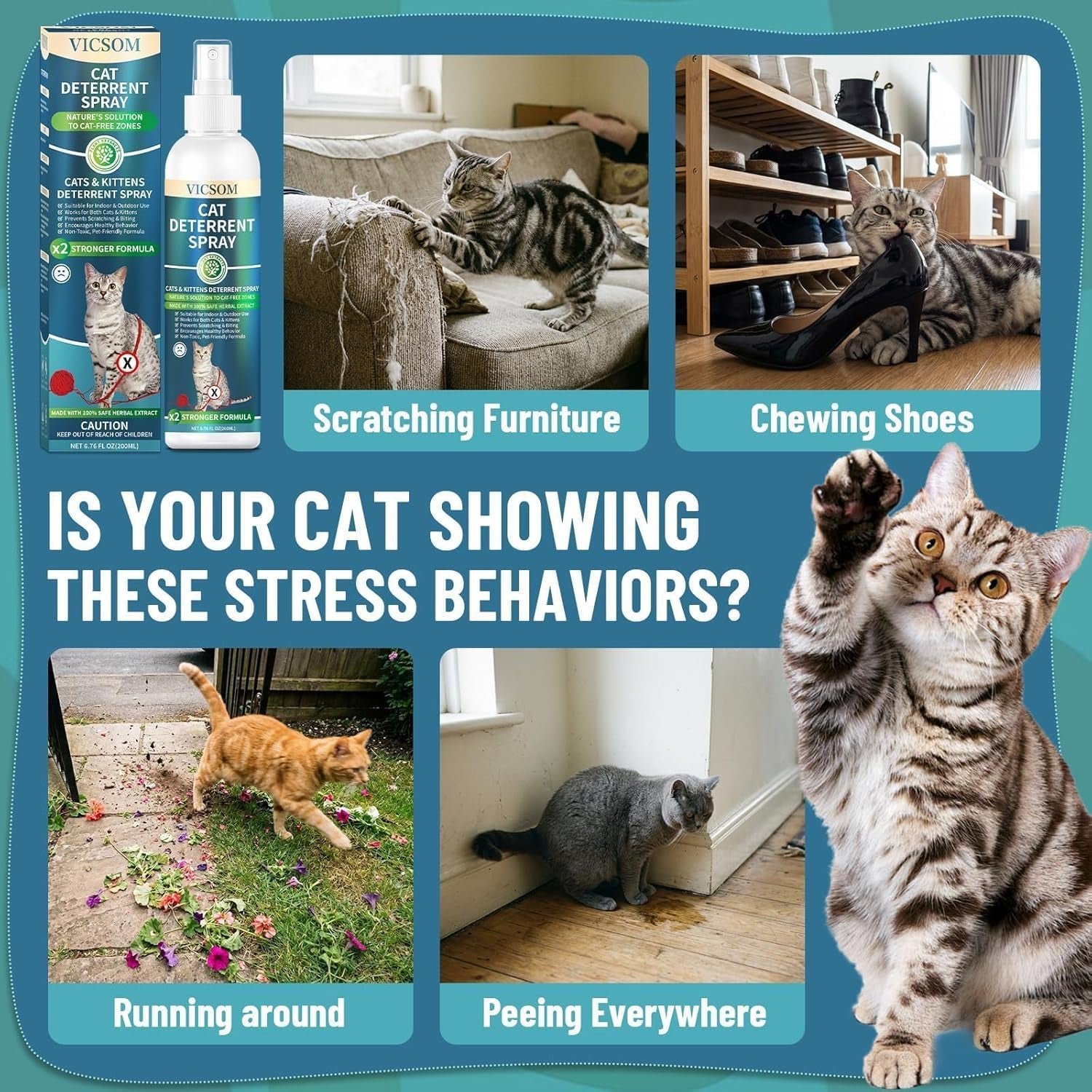 Cat Deterrent Spray for Furniture Scratching