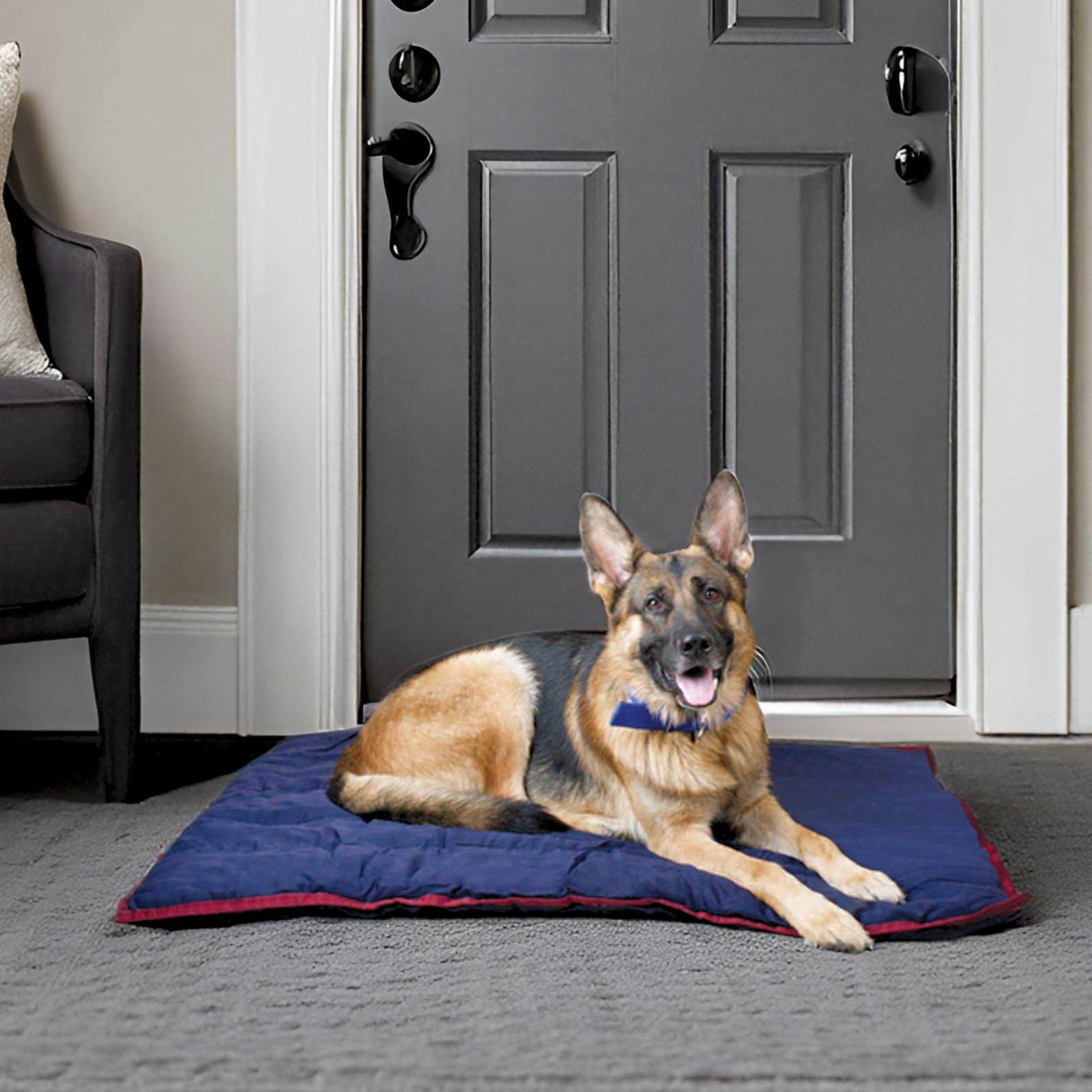 Jeffers Washable Comfy Dog Pillow for Crates & Carriers